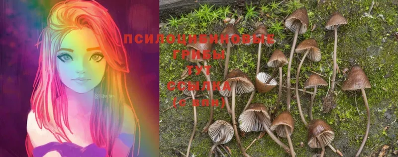 Псилоцибиновые грибы MAGIC MUSHROOMS  Поворино 